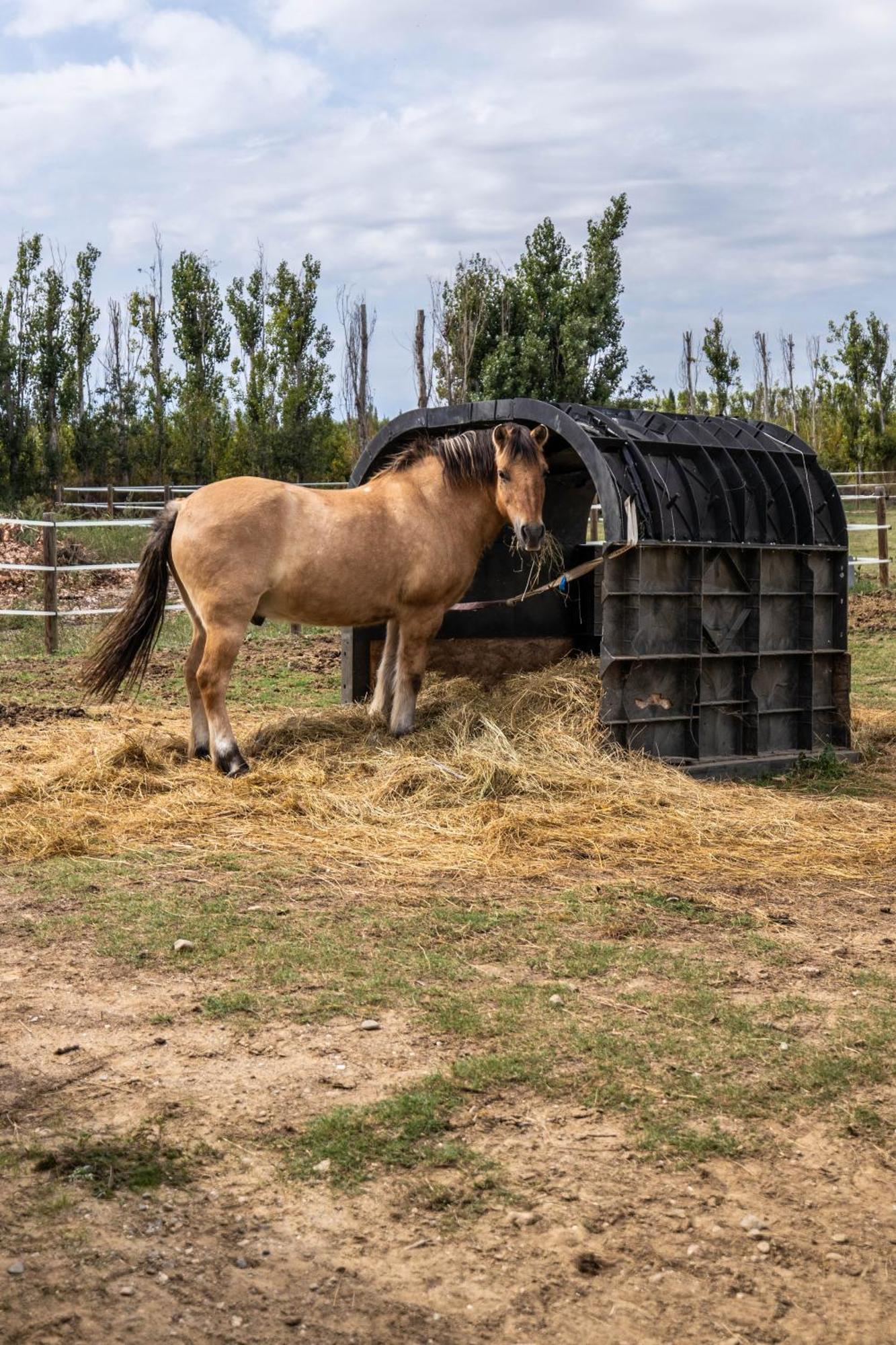 Gites Du Castell De Bles Saint-Génis エクステリア 写真