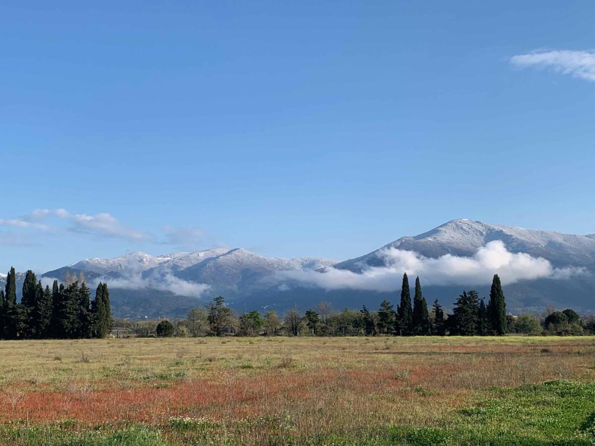 Gites Du Castell De Bles Saint-Génis エクステリア 写真